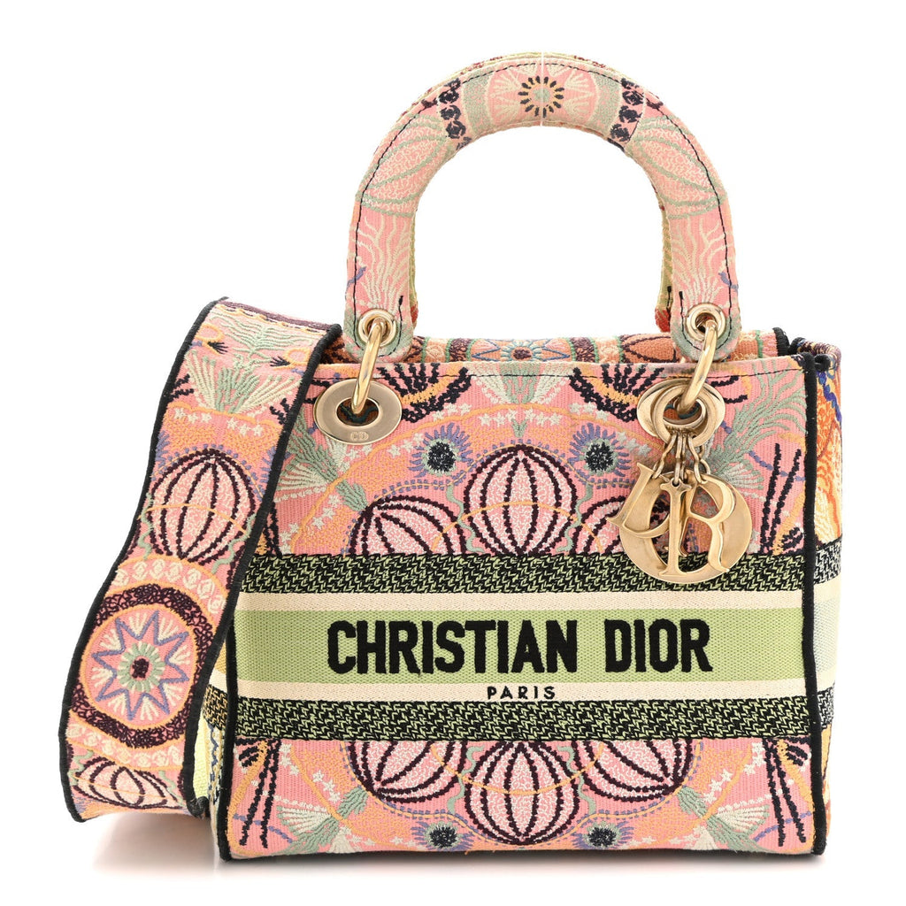 Dior Canvas Embroidered In Lights Medium Lady D-Lite Multicolor