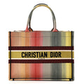 Dior Medium Dioraura Book Tote Multicolor front view